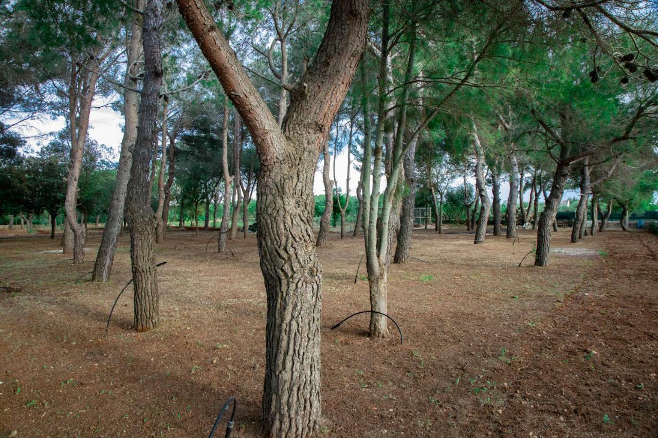 Relais d 'Itria Bed & Breakfast Grottaglie Bagian luar foto