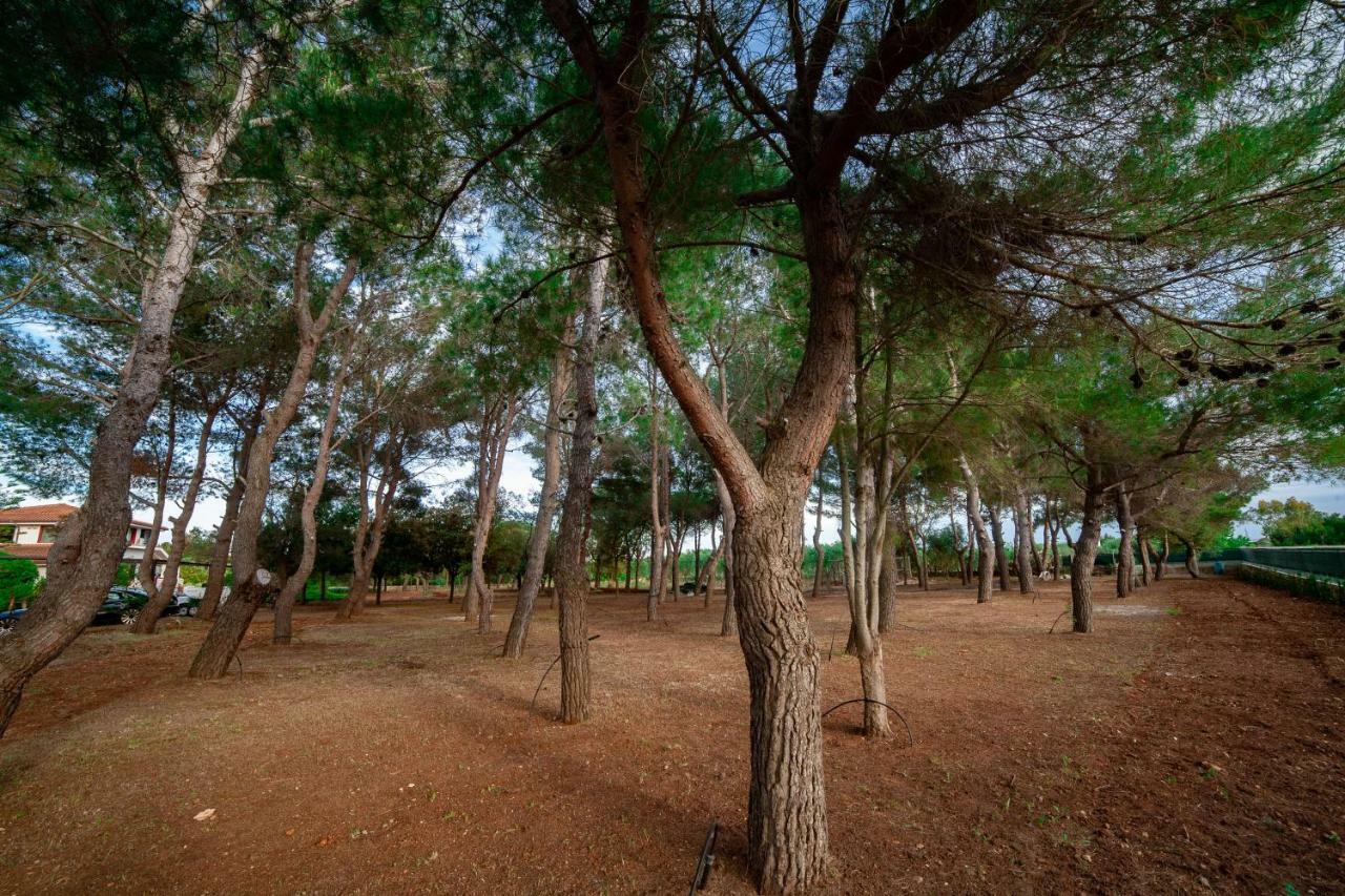 Relais d 'Itria Bed & Breakfast Grottaglie Bagian luar foto
