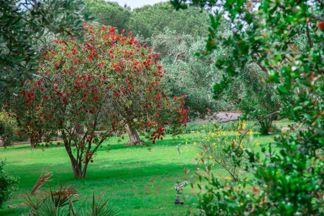 Relais d 'Itria Bed & Breakfast Grottaglie Bagian luar foto