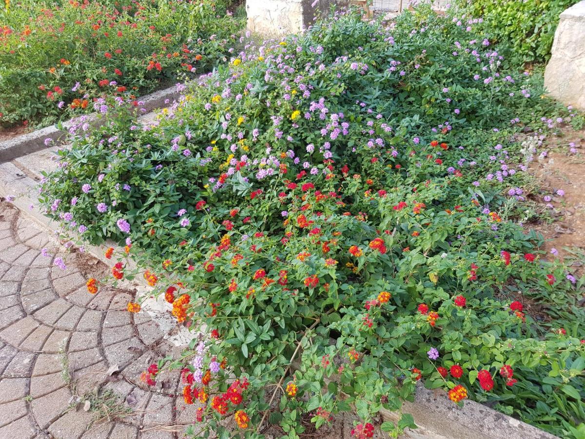 Relais d 'Itria Bed & Breakfast Grottaglie Bagian luar foto