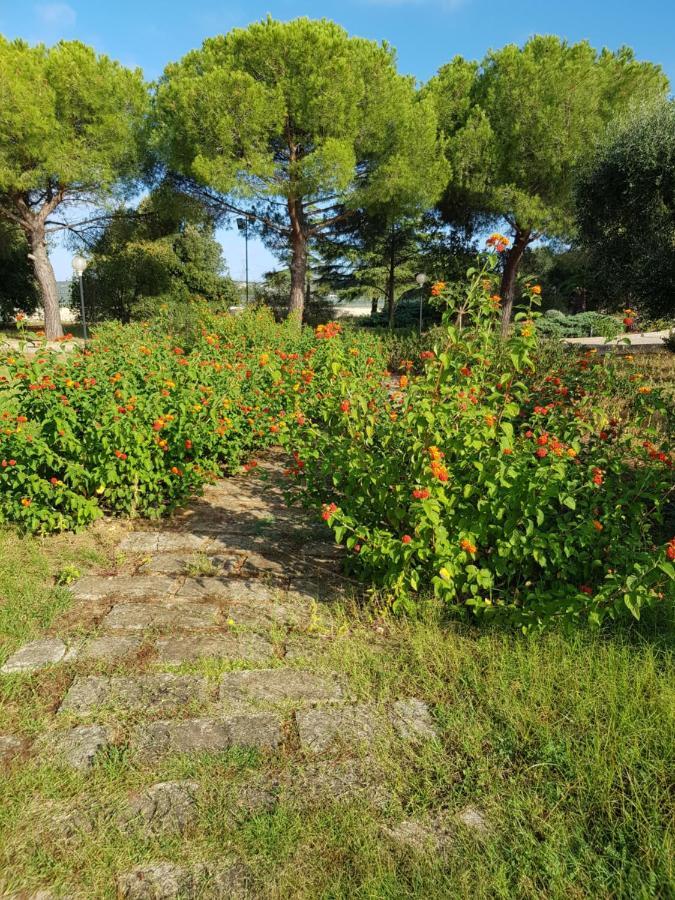 Relais d 'Itria Bed & Breakfast Grottaglie Bagian luar foto