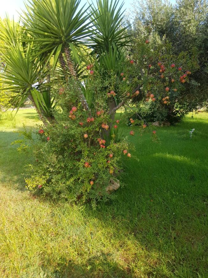 Relais d 'Itria Bed & Breakfast Grottaglie Bagian luar foto